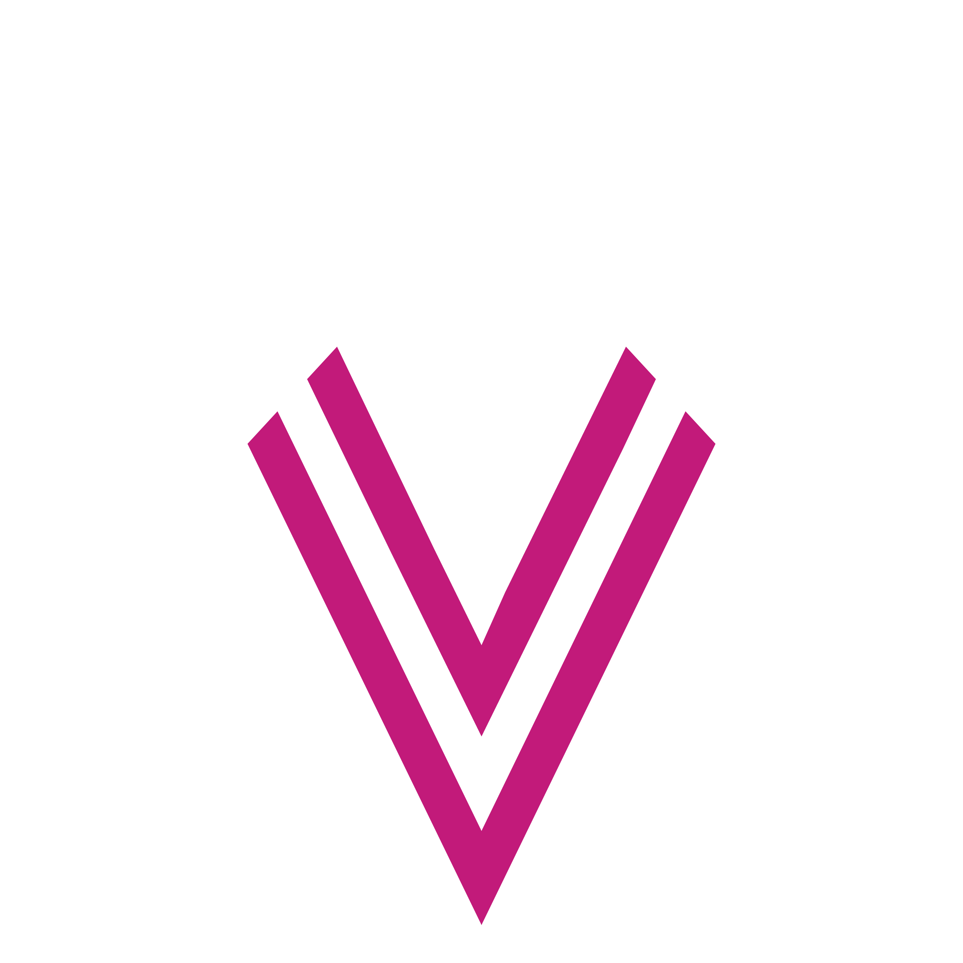 VV Official Store